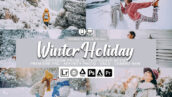 60 پریست لایت روم حرفه ای زمستان تم تعطیلات زمستانی Winter Holiday Lightroom Presets