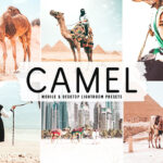 40 پریست لایت روم فضای باز و پریست کمرا راو و اکشن فتوشاپ تم شتر Camel Lightroom Presets