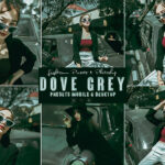 9 پریست لایت روم و اکشن فتوشاپ تم سبز خاکستری Dove Grey Photoshop Action Lightrom Presets