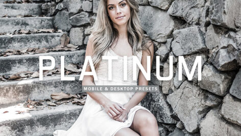 40 پریست لایت روم پرتره و پریست کمرا راو و اکشن فتوشاپ تم خاکستری Platinum Lightroom Presets