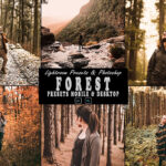 9 پریست لایت روم پاییز و اکشن فتوشاپ Forest Tone Photoshop Action Lightrom Presets