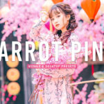 40 پریست لایت روم پرتره و پریست کمرا راو و اکشن فتوشاپ تم طوطی صورتی Parrot Pink Lightroom Presets