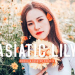 40 پریست لایت روم و پریست کمرا راو و اکشن فتوشاپ Asiatic Lily Lightroom Presets