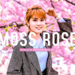 40 پریست لایت روم و پریست کمرا راو و اکشن فتوشاپ تم بهار Moss Rose Lightroom Presets