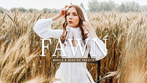 40 پریست لایت روم و پریست کمرا راو و اکشن فتوشاپ پرتره فضای باز Fawn Lightroom Presets