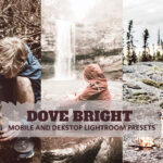 14 پریست لایت روم 2022 فضای باز تم روشن Dove Bright Lightroom Presets