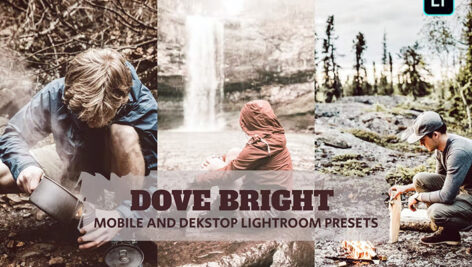 14 پریست لایت روم 2022 فضای باز تم روشن Dove Bright Lightroom Presets
