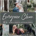 10 پریست لایت روم 2022 حرفه ای رنگی تم جنگل Evergreen Clean Preset
