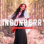 40 پریست لایت روم و پریست کمرا راو و اکشن فتوشاپ Lingonberry Lightroom Presets