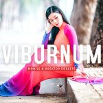 40 پریست لایت روم و پریست کمرا راو و اکشن فتوشاپ تم رنگی گرم Viburnum Lightroom Presets