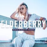 40 پریست لایت روم و پریست کمرا راو و اکشن فتوشاپ تم پرتره فشن Elderberry Lightroom Presets