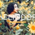 40 پریست لایت روم و پریست کمرا راو و اکشن فتوشاپ تم گل آفتابگردان Heliodor Lightroom Presets