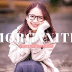 40 پریست لایت روم و پریست کمرا راو و اکشن فتوشاپ پرتره تم صورتی Morganite Lightroom Presets